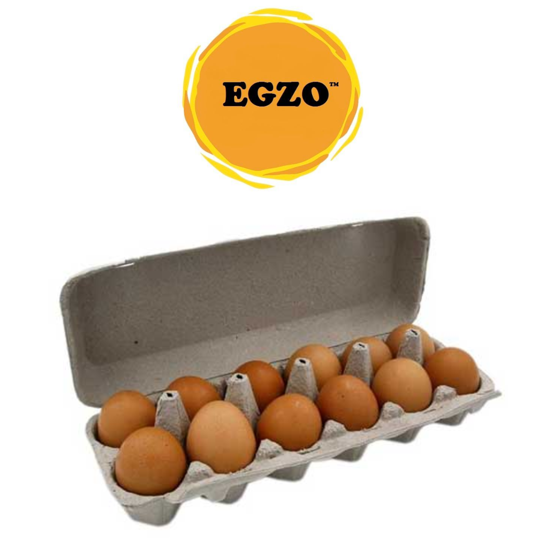 EGZO Free Range Brown Eggs 12pcs